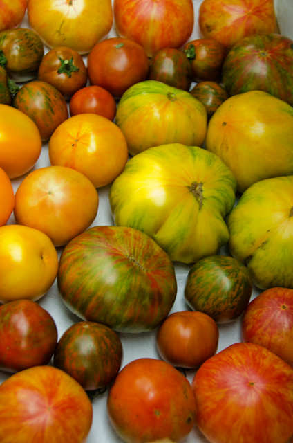 Stripe Heirloom Tomatoes