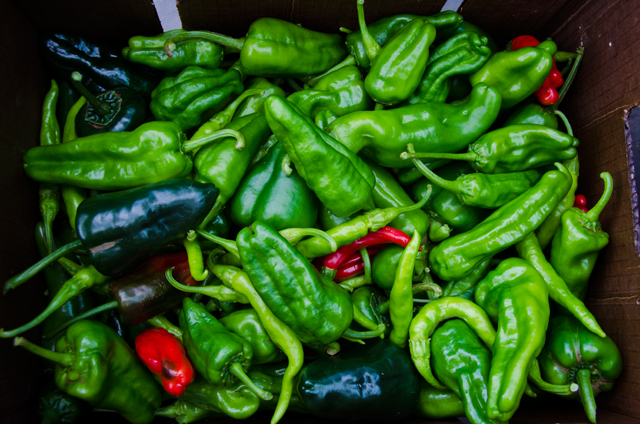 Mixed mildly hot Peppers