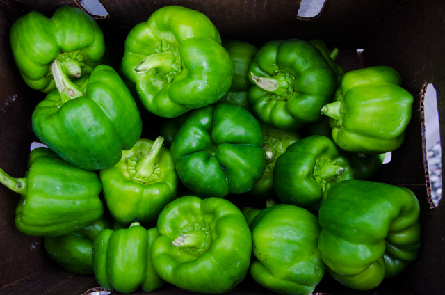 Sweet Green Bell Peppers
