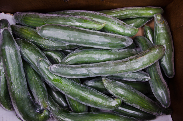 English Cucumbers - wrapped (greenhouse)