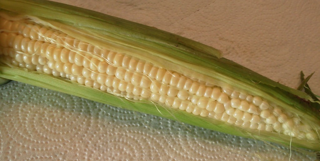 incredible sweet corn