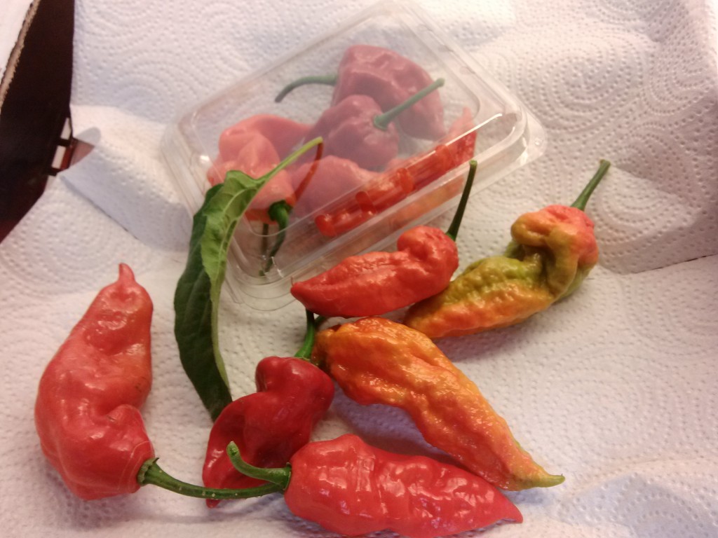 Package of Ghost Peppers - Bhut Jolokia