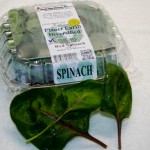 Baby Red Spinach