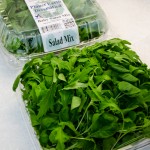 Baby Salad Mix