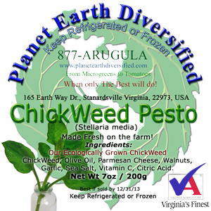 Chickweed pesto label