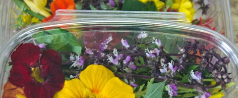 Photo of boxes of Edible Flowers