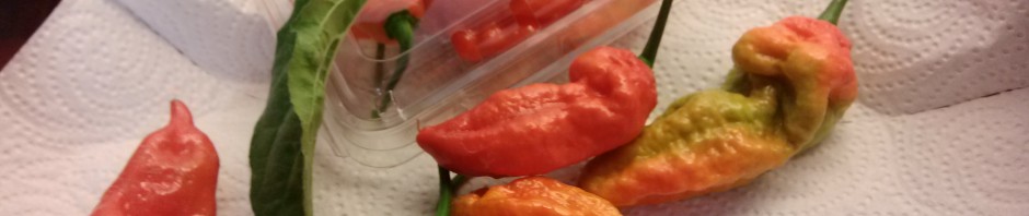 Package of Ghost Peppers - Bhut Jolokia