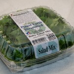 Baby Salad Mix