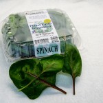 Clamshell Baby Red Spinach
