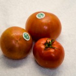 Planet Earth Diversified Famous Tomatoes