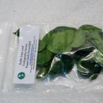 Kaffir Lime Leaf Bag