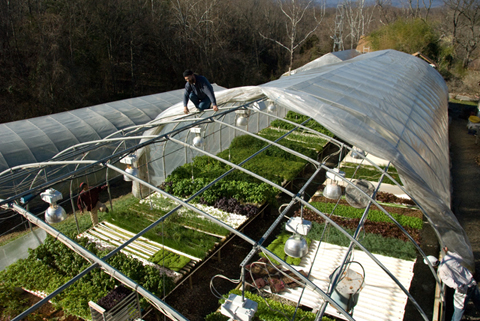 Open greenhouse