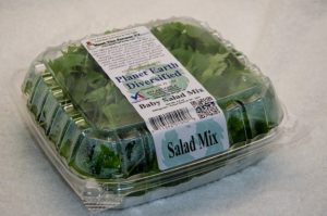 2016csa_summer_sept_10-baby-salad-mix