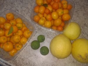 Thai Lime PonderosaThai Lime- Ponderosa lemon- Kumquat- Calamondin